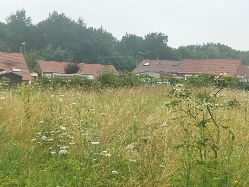 Helårsgrund i Roost-Warendin, Nord - foto 3
