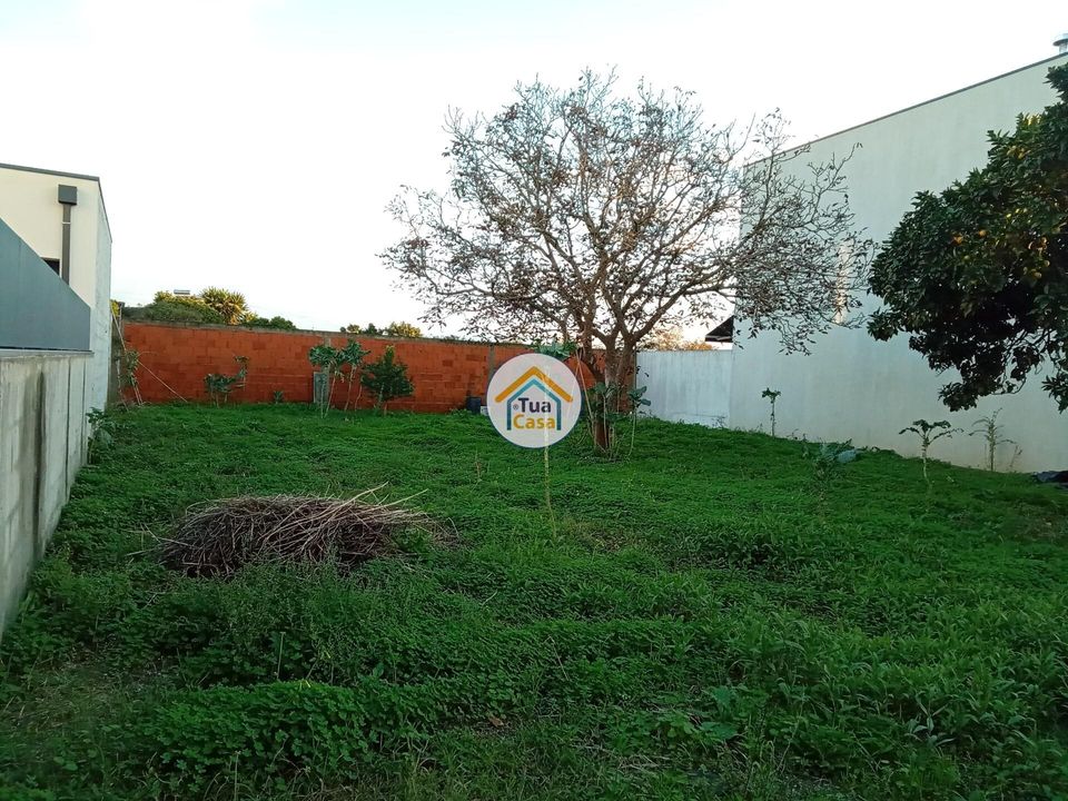 Tomt i Aveiro, Aveiro - bilde 2