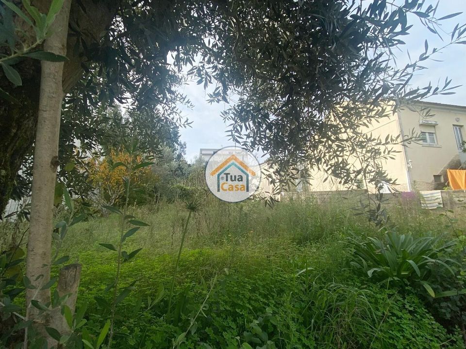 Helårsgrund i Coimbra, Coimbra - foto 2