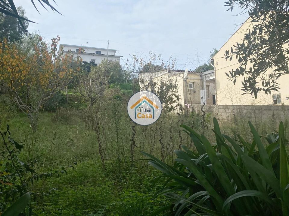 Helårsgrund i Coimbra, Coimbra - foto 5
