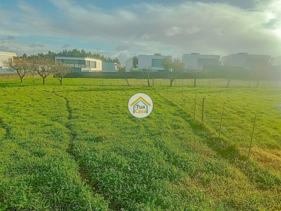 Helårsgrund i Albergaria-a-Velha, Aveiro - foto 1
