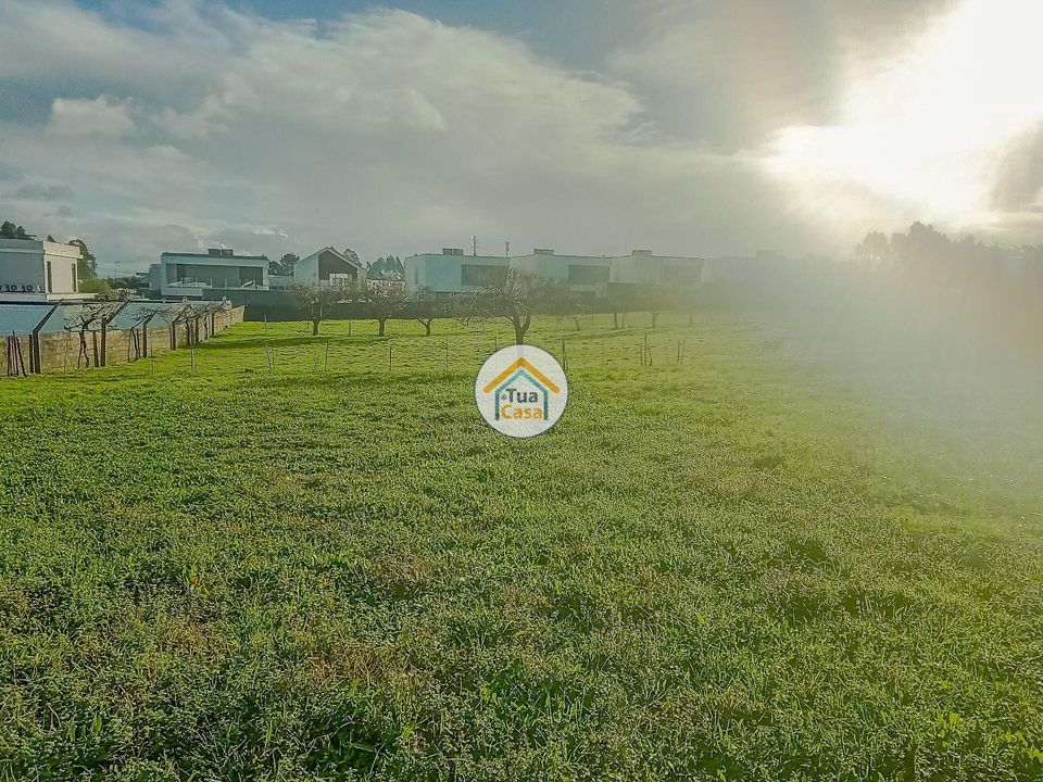 Helårsgrund i Albergaria-a-Velha, Aveiro - foto 4