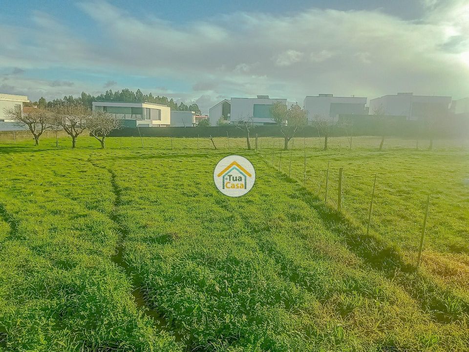 Helårsgrund i Albergaria-a-Velha, Aveiro - foto 3