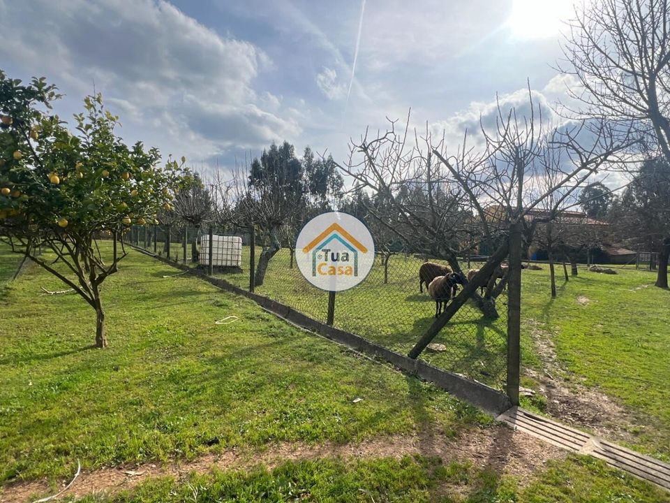 Farm i Santa Maria da Feira, Aveiro - foto 4