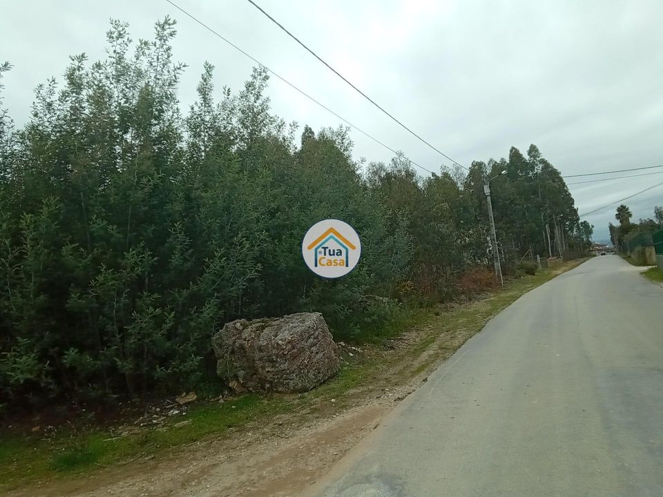 Helårsgrund i Agueda, Aveiro - foto 5