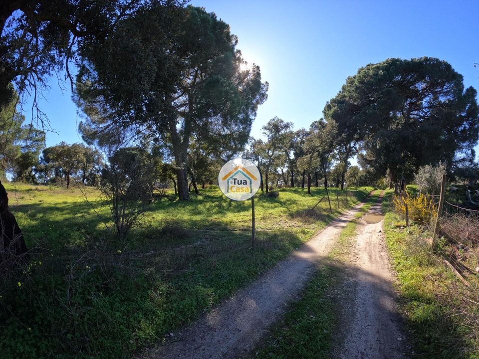 Helårsgrund i Montemor-o-Novo, Evora - foto 1