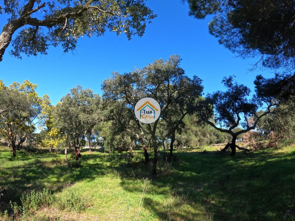 Helårsgrund i Montemor-o-Novo, Evora - foto 5