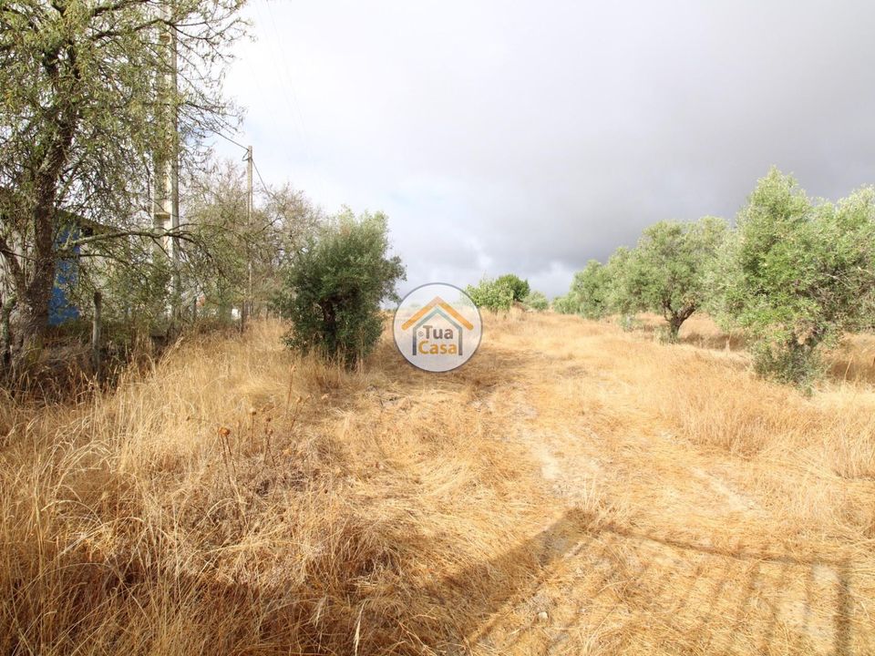 Helårsgrund i Reguengos de Monsaraz, Evora - foto 4