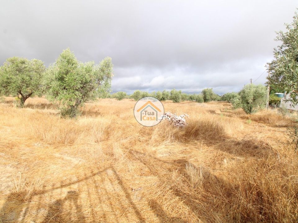 Helårsgrund i Reguengos de Monsaraz, Evora - foto 5