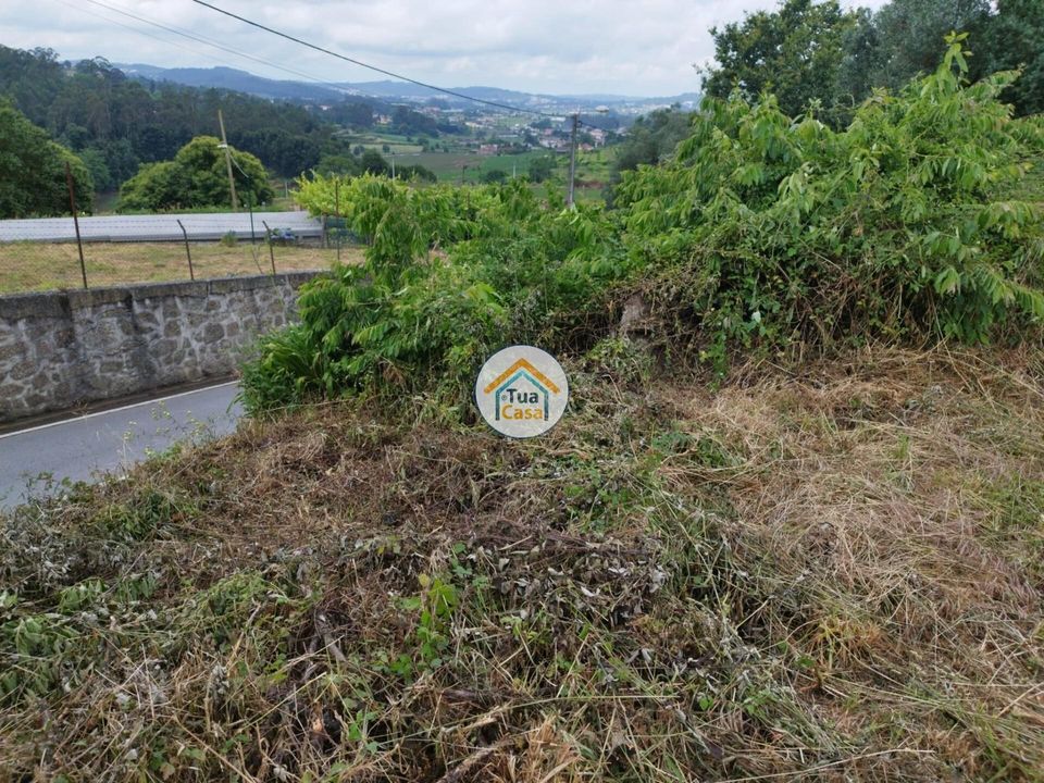 Landejendom i Vila Nova de Famalicao, Braga - foto 4