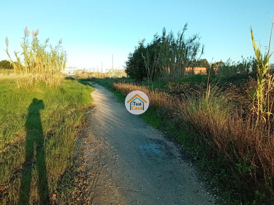 Tomt i Aveiro, Aveiro - bilde 5