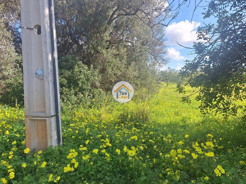 Helårsgrund i Faro, Faro - foto 2