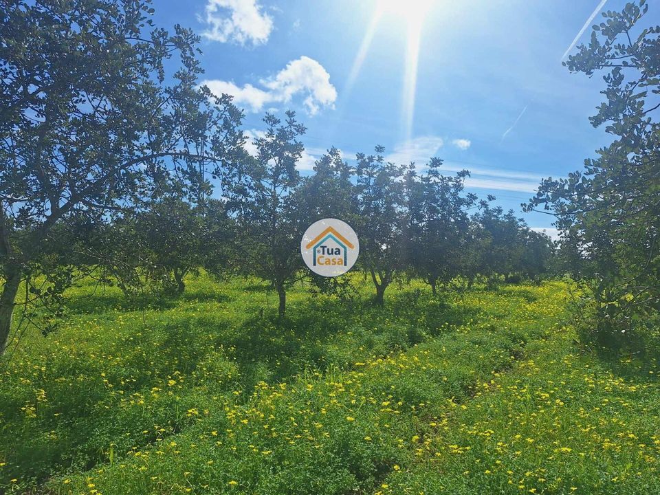 Helårsgrund i Faro, Faro - foto 5