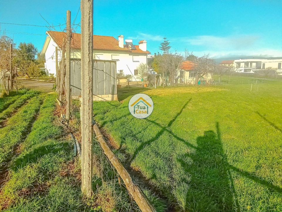 Helårsgrund i Albergaria-a-Velha, Aveiro - foto 5