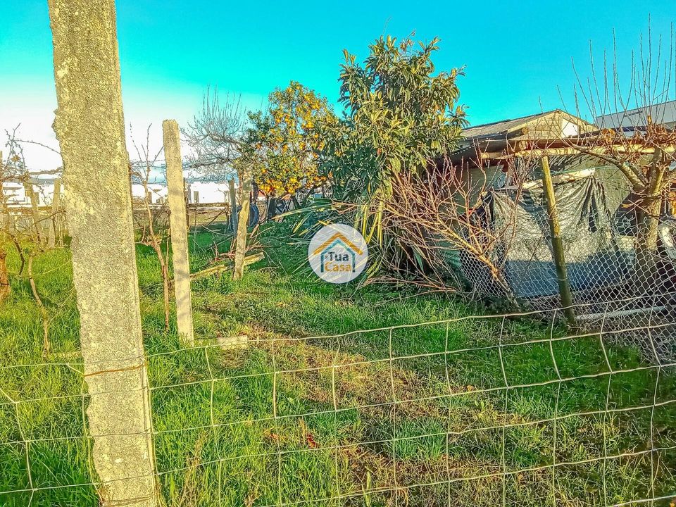 Helårsgrund i Albergaria-a-Velha, Aveiro - foto 1