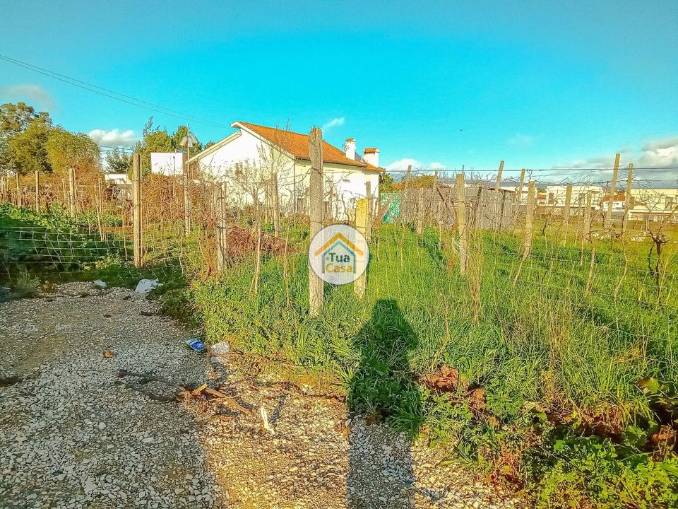Helårsgrund i Albergaria-a-Velha, Aveiro - foto 2