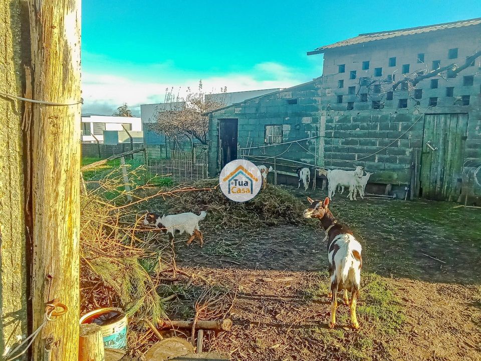 Helårsgrund i Albergaria-a-Velha, Aveiro - foto 3