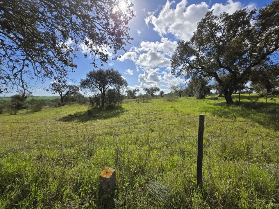 Helårsgrund i Alandroal, Evora - foto 4