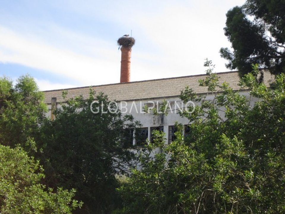 Farm i Estombar, Faro - foto 3
