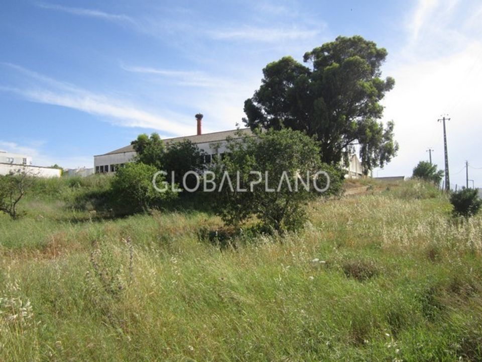 Farm i Estombar, Faro - foto 4