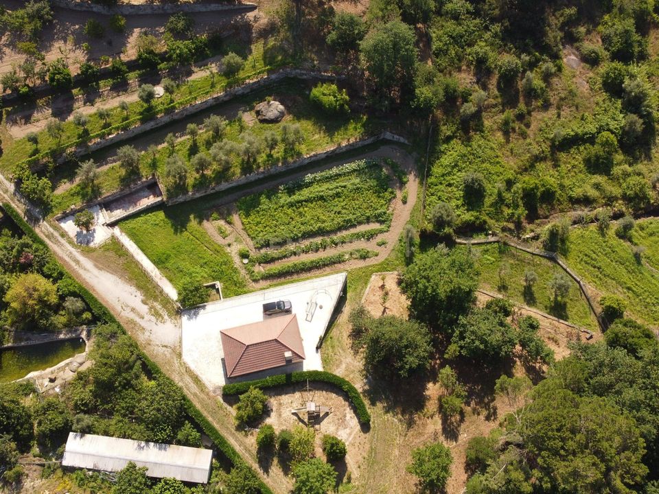 Farm hus i Viseu, Viseu - foto 2