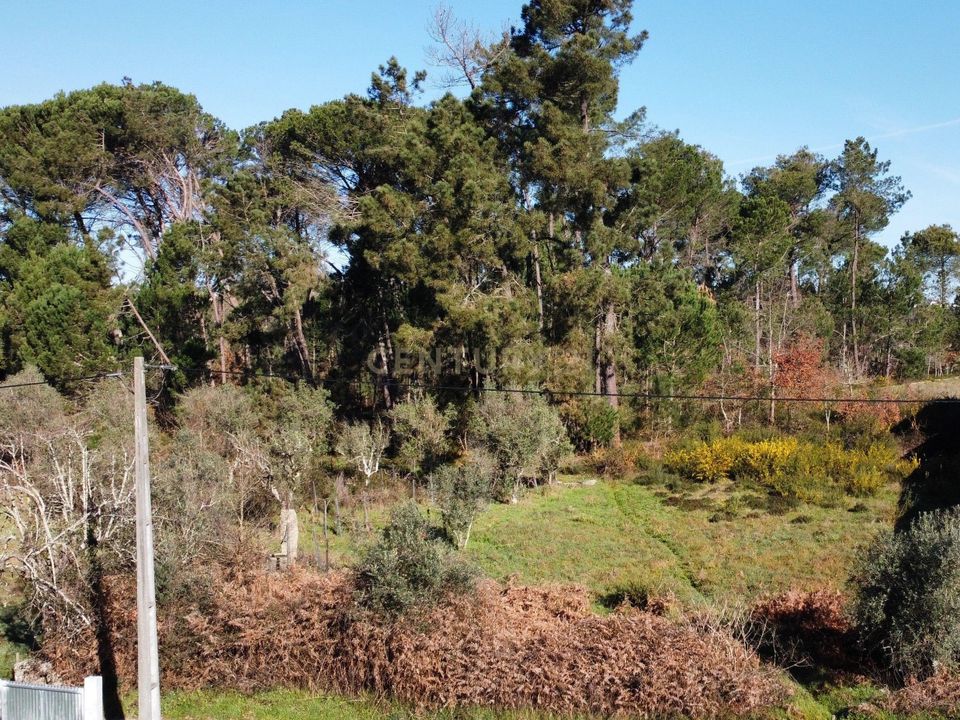 Helårsgrund i Viseu, Viseu - foto 2