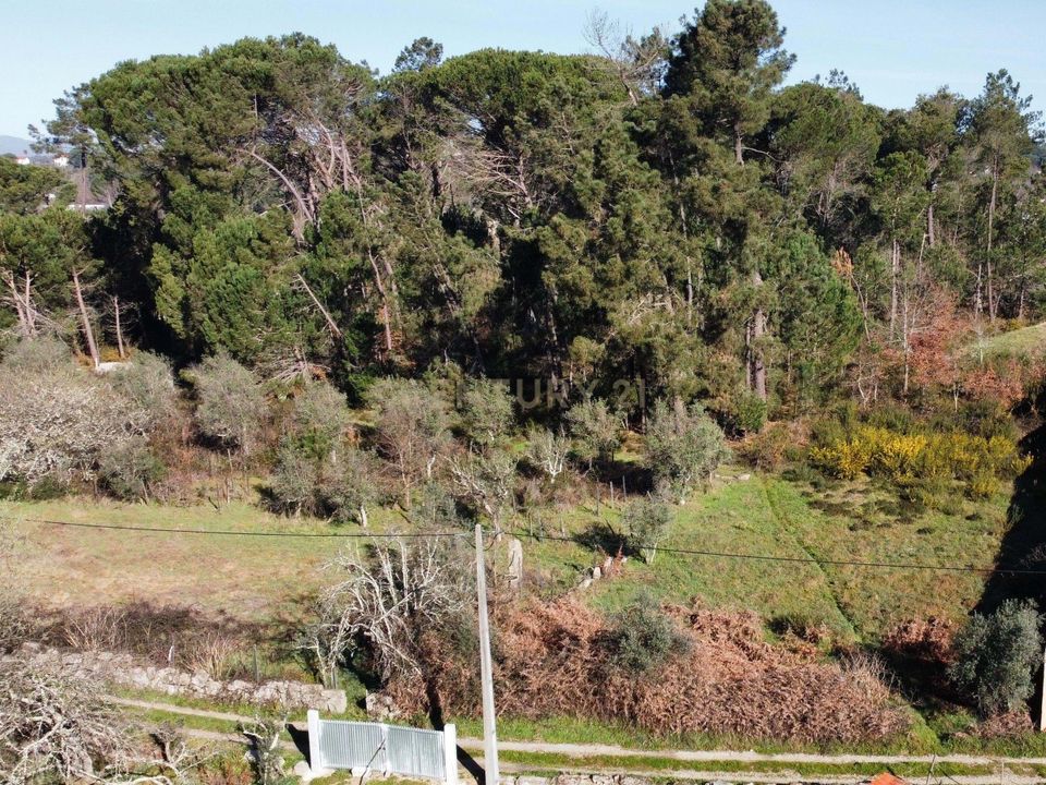 Helårsgrund i Viseu, Viseu - foto 3