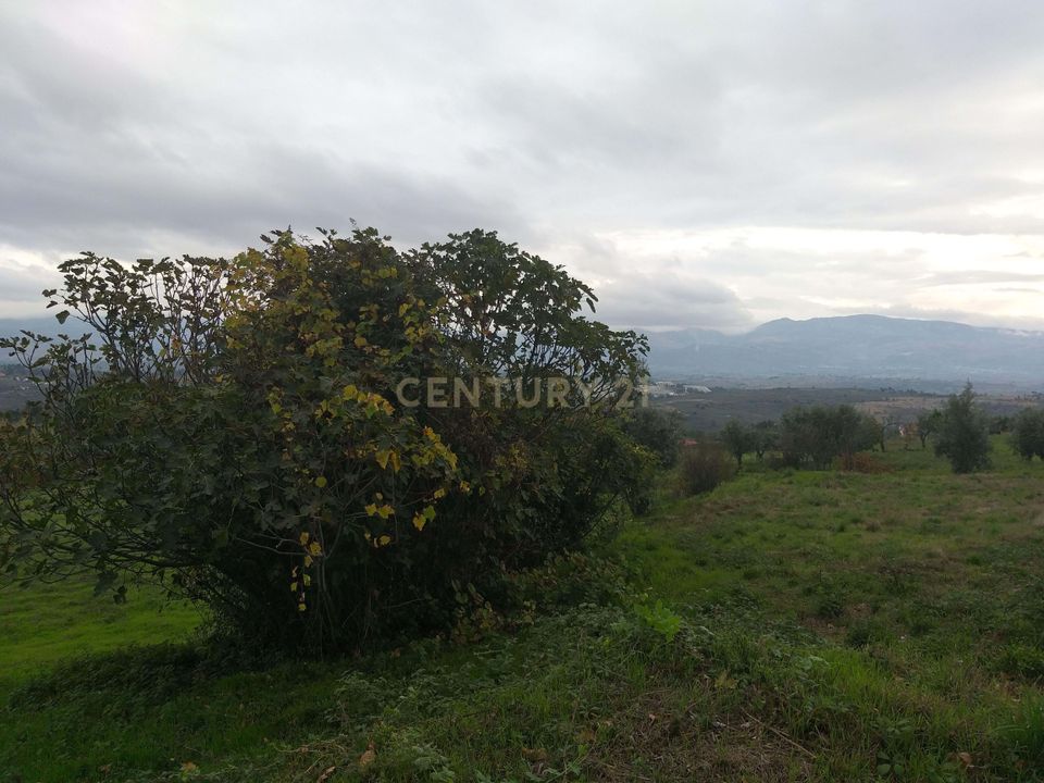 Helårsgrund i Fornos de Algodres, Guarda - foto 5