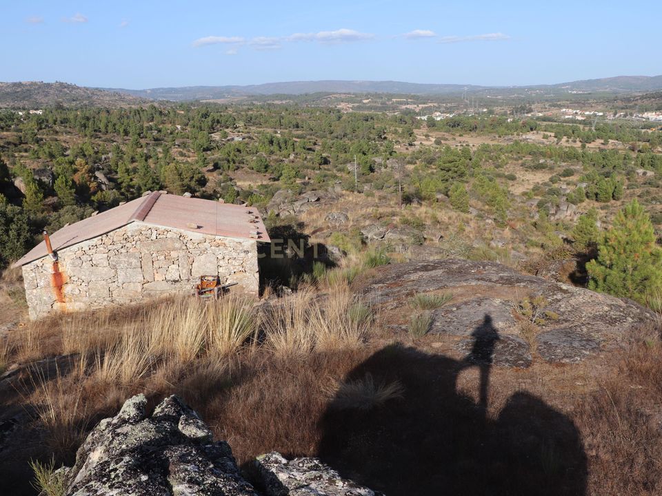Farm hus i Celorico da Beira, Guarda - foto 3