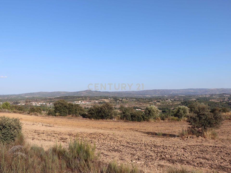 Farm hus i Celorico da Beira, Guarda - foto 4