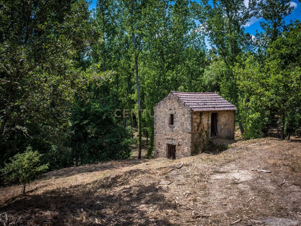 Farm hus i Tabua, Coimbra - foto 3
