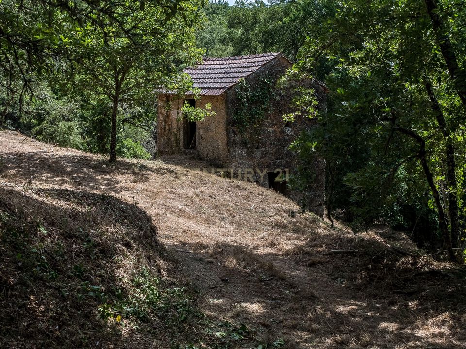 Farm hus i Tabua, Coimbra - foto 4