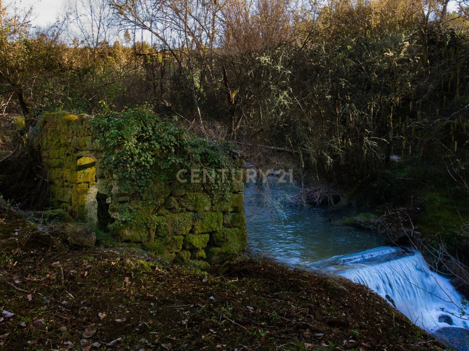 Farm hus i Tabua, Coimbra - foto 5