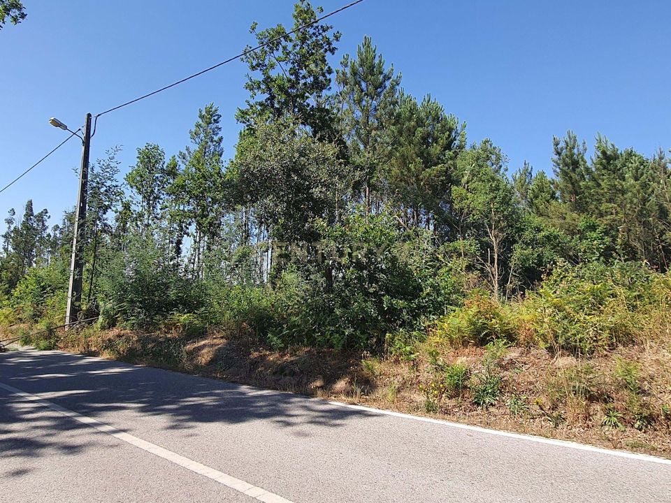 Helårsgrund i Carregal do Sal, Viseu - foto 1