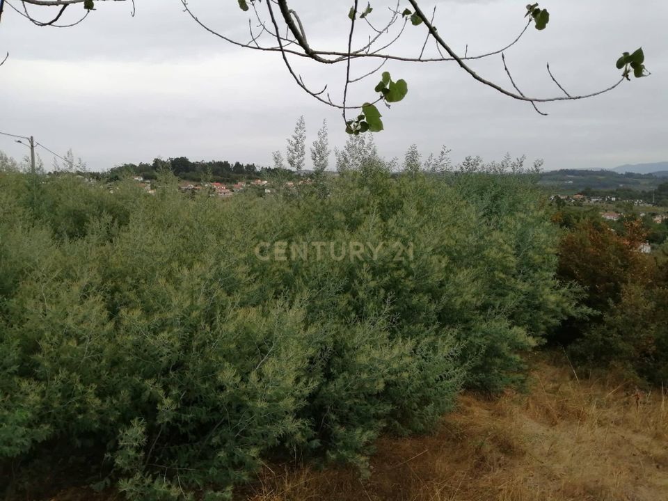 Tomt i Satao, Viseu - bilde 3