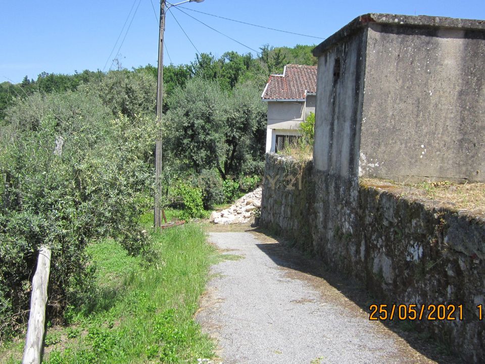 Helårsgrund i Tondela, Viseu - foto 3
