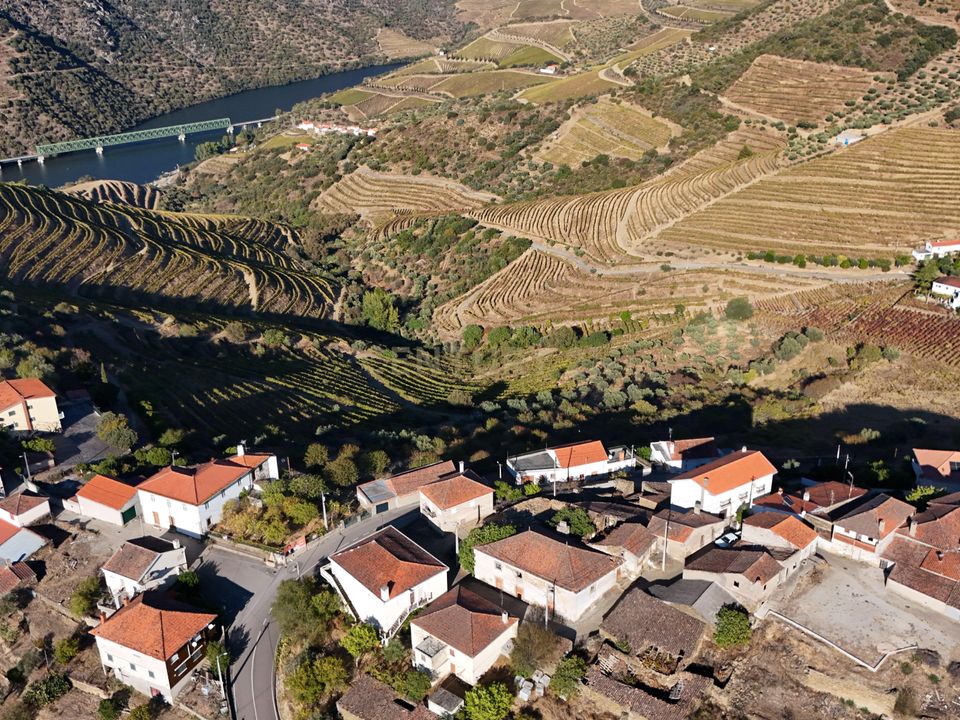 Villa i Sao Joao da Pesqueira, Viseu - foto 1