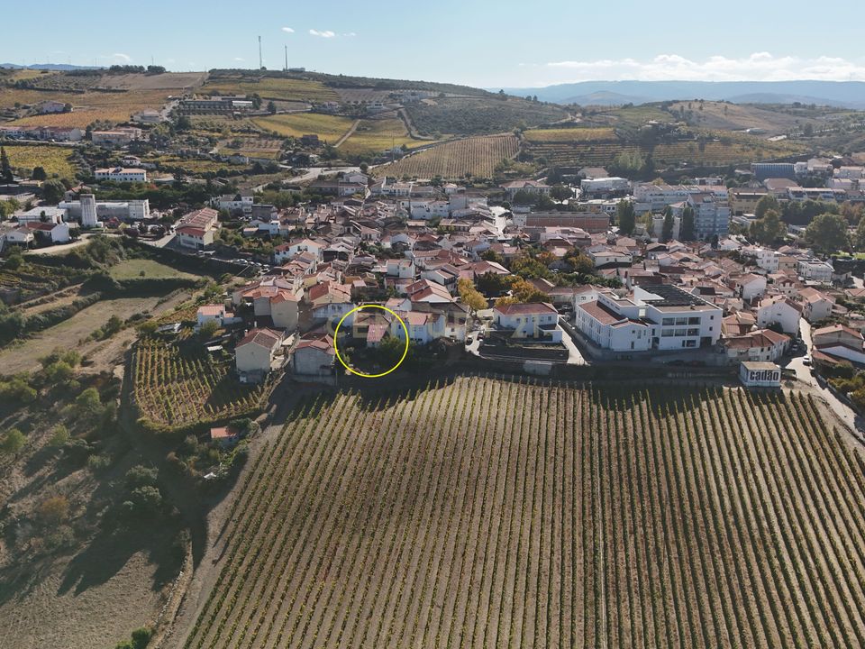 Villa i Sao Joao da Pesqueira, Viseu - bilde 4