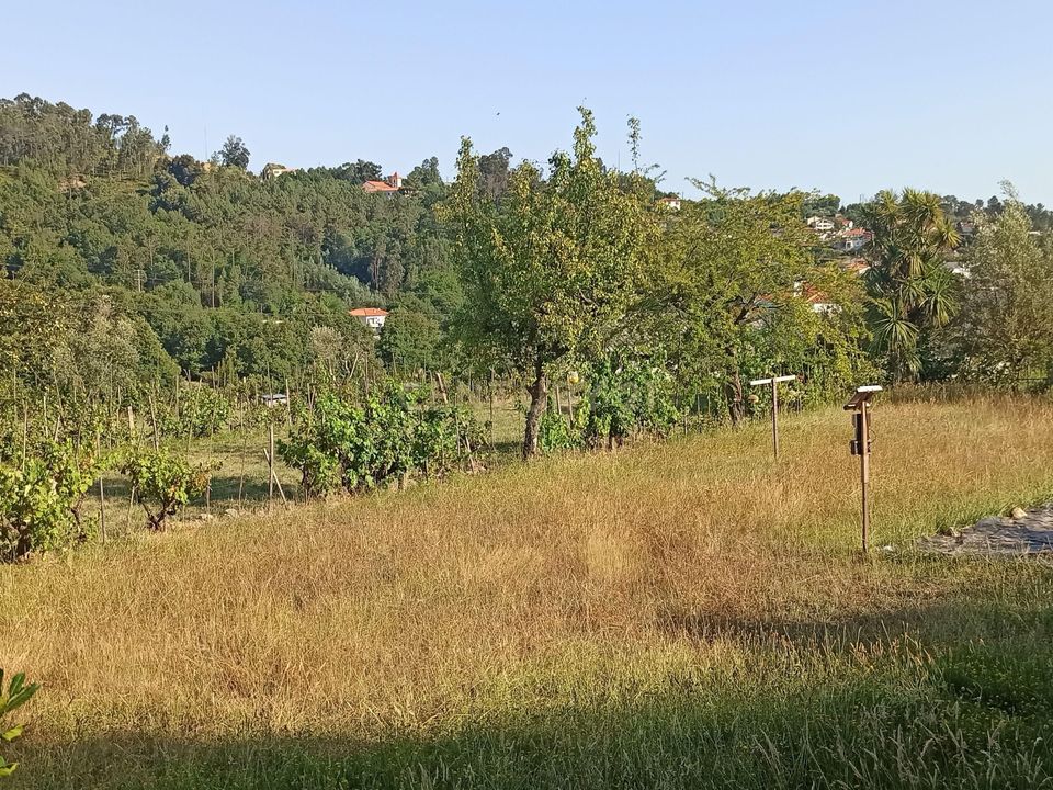 Helårsgrund i Viseu, Viseu - foto 3