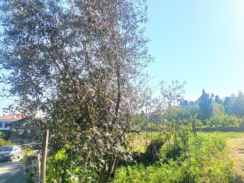 Helårsgrund i Viseu, Viseu - foto 5