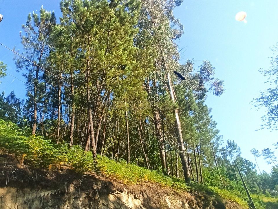 Helårsgrund i Viseu, Viseu - foto 2