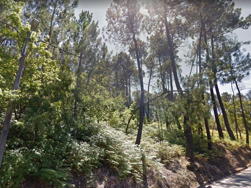 Helårsgrund i Viseu, Viseu - foto 4