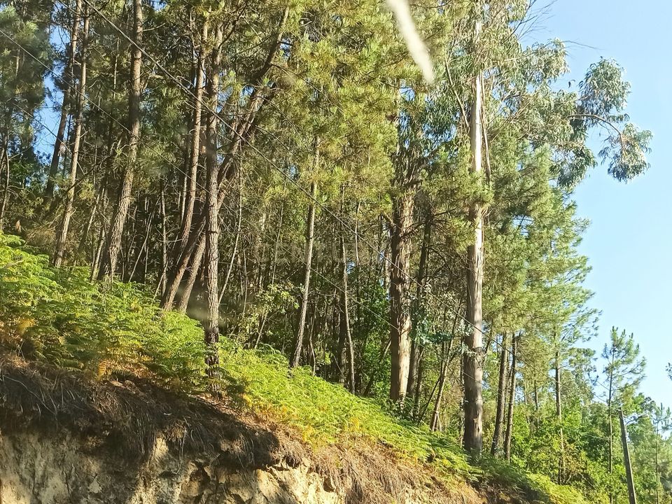 Helårsgrund i Viseu, Viseu - foto 5