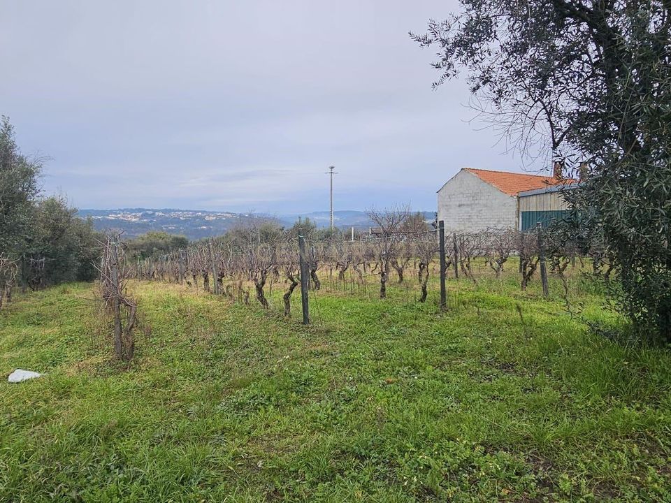 Helårsgrund i Viseu, Viseu - foto 1