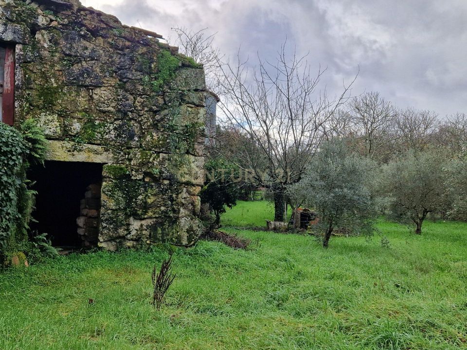 Villa i Viseu, Viseu - foto 5