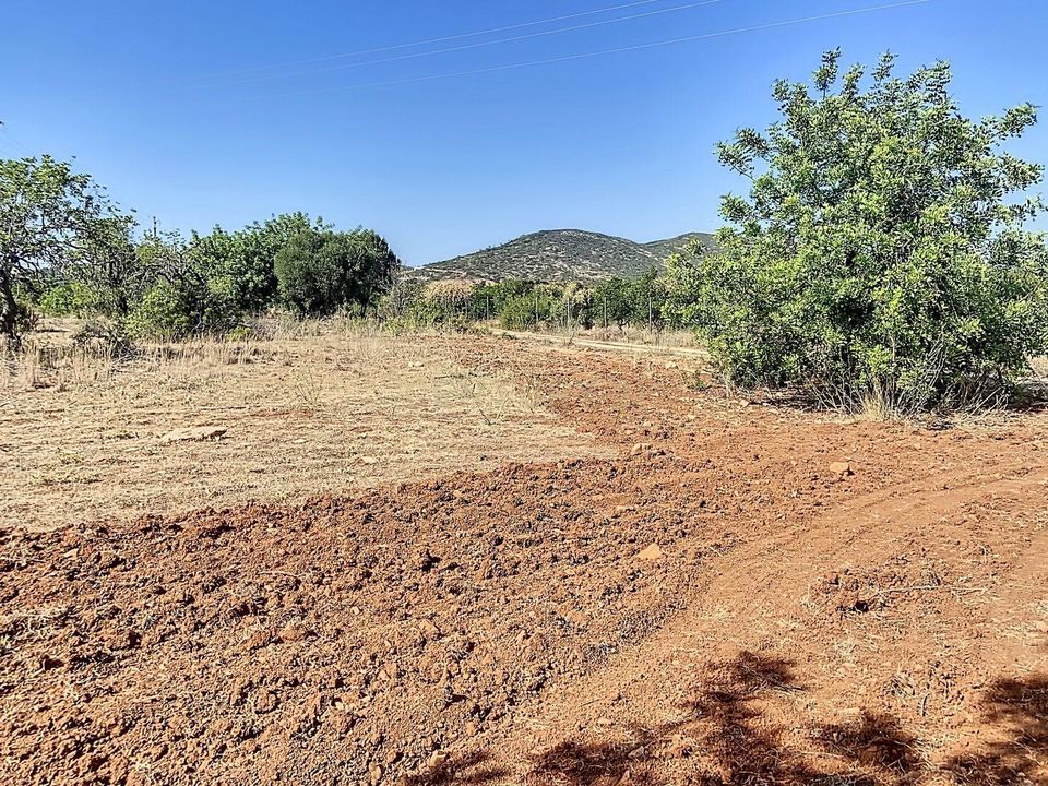 Helårsgrund i Santa Barbara de Nexe, Faro - foto 1