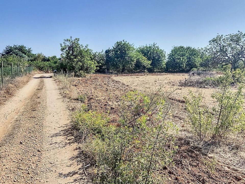 Helårsgrund i Santa Barbara de Nexe, Faro - foto 3