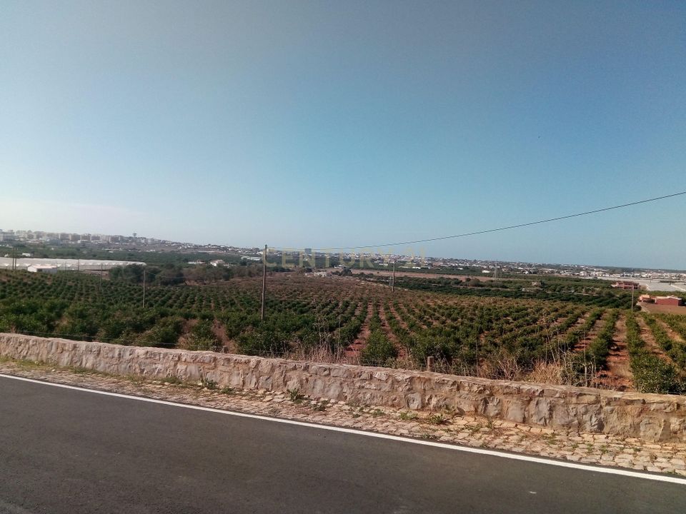 Helårsgrund i Tavira, Faro - foto 5