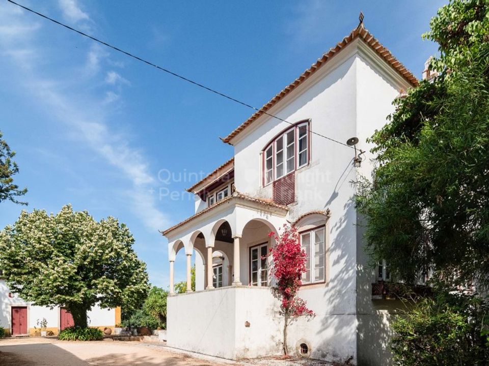 Farm i Meia Via, Santarem - foto 1