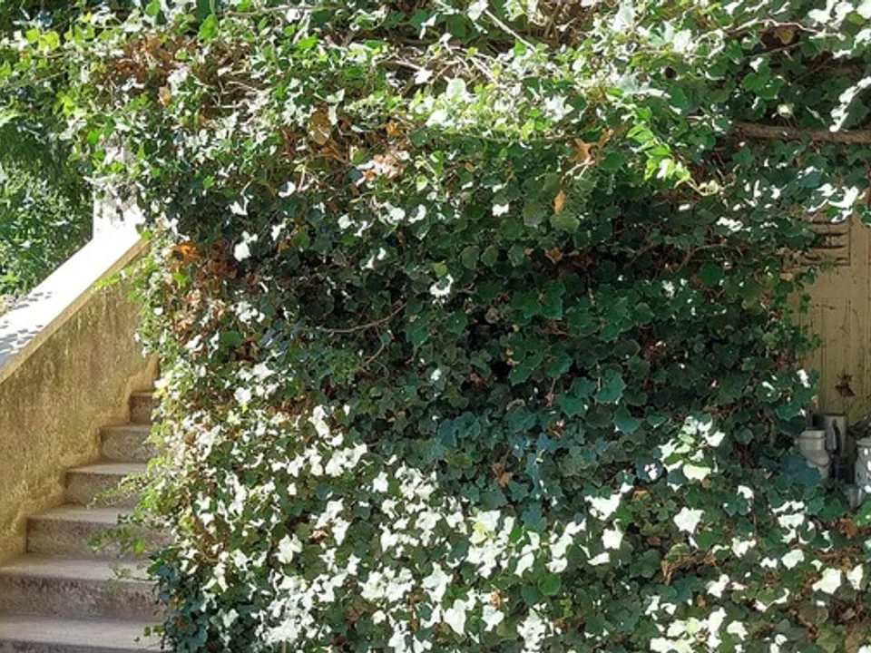 Villa i Avignon, Vaucluse - foto 2